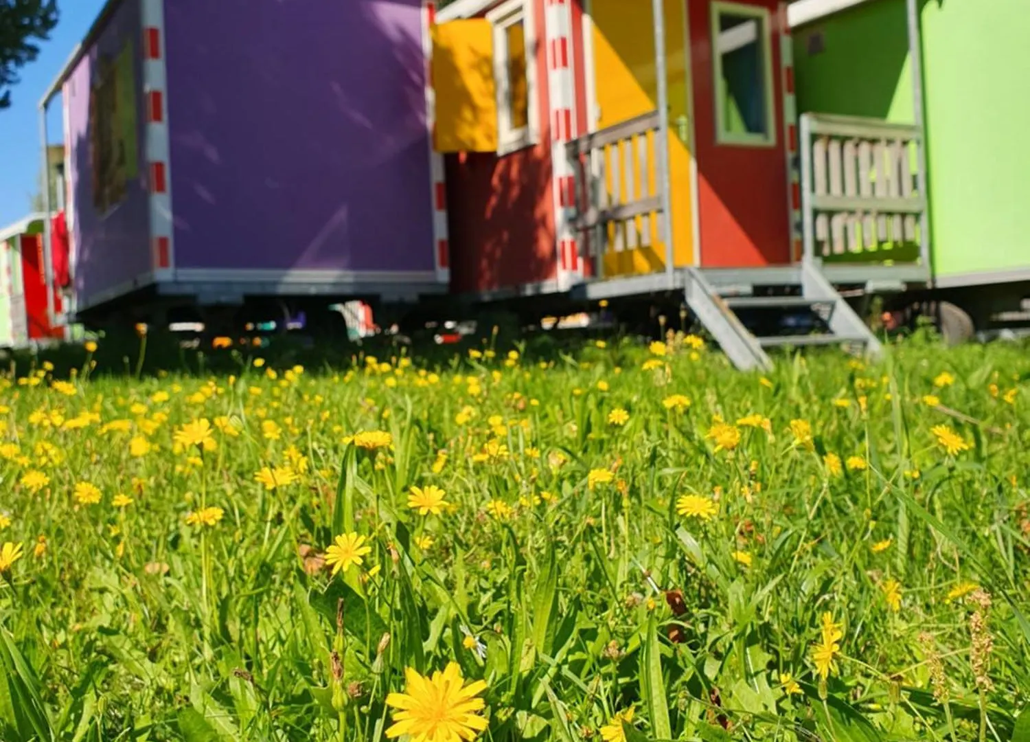 Campsite Camping Zeeburg Amsterdam