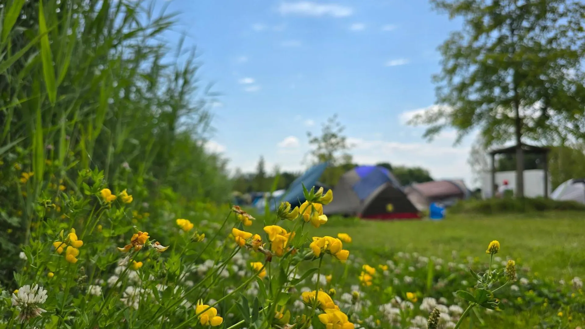 Camping Zeeburg Amsterdam